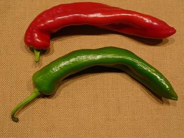 Zesty 7 Mild Pepper Seeds - The Pepper Pantry (Formerly Marie Sharp's)